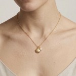Colar concha e pérola de água Colar concha e pérola de água